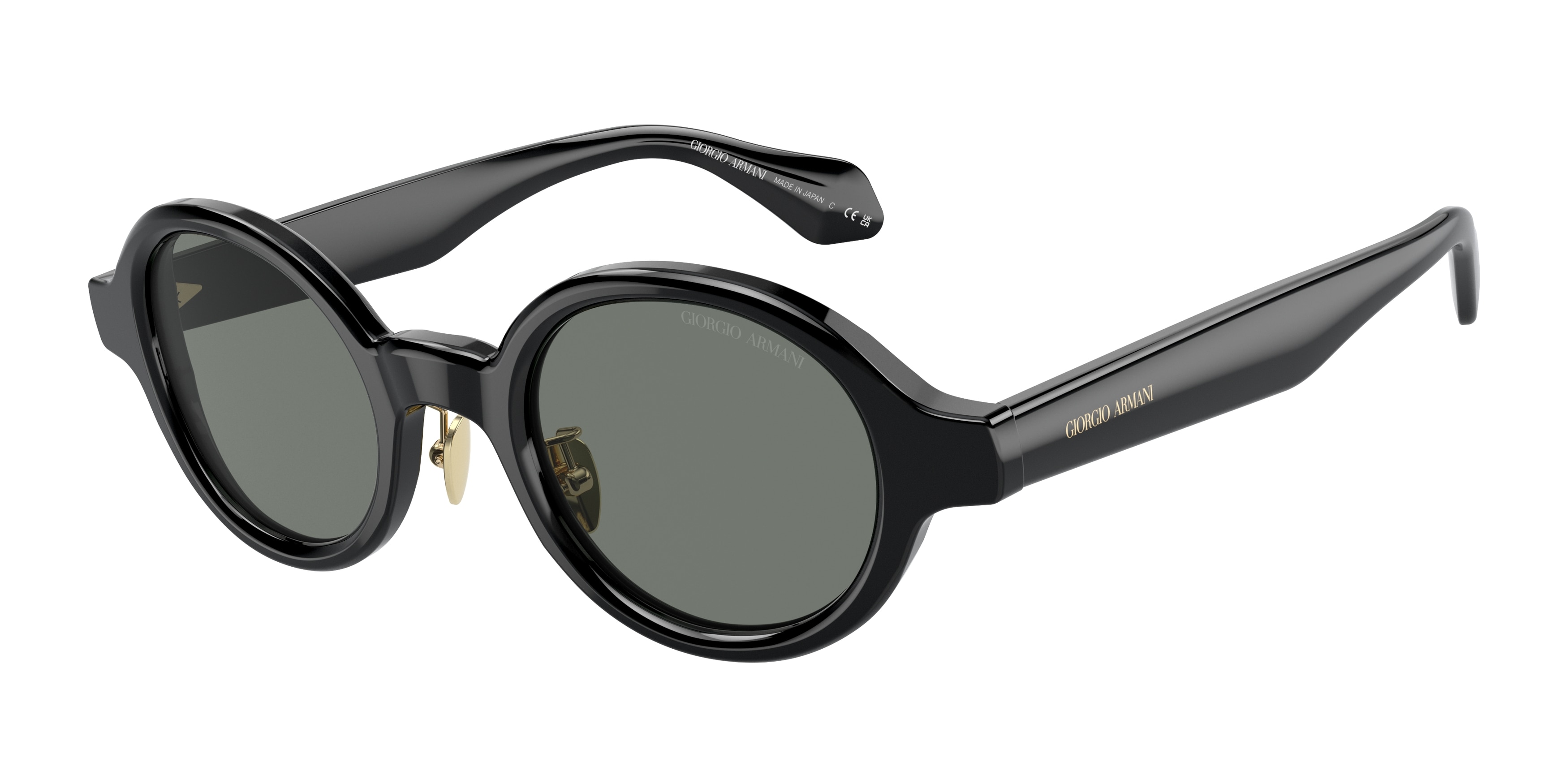 Giorgio Armani AR8205 6060/1